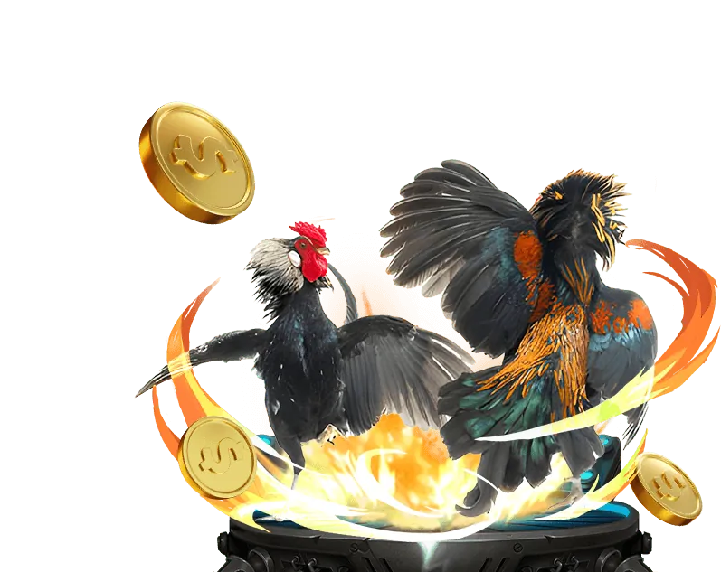 Hoàn trả thể thao và casino 777x